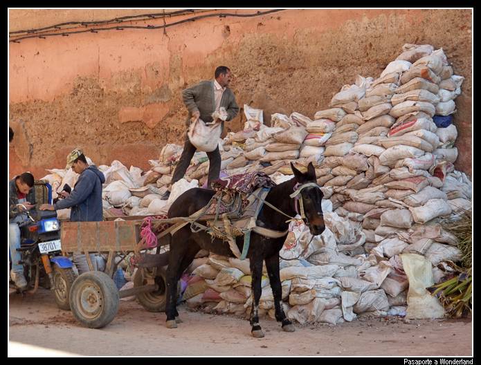 Zoco Marrakech
